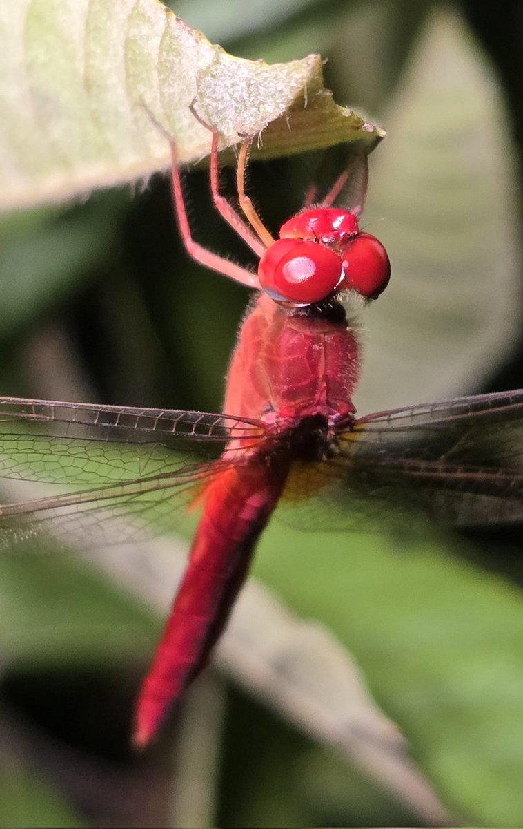 Old and Two tweet media