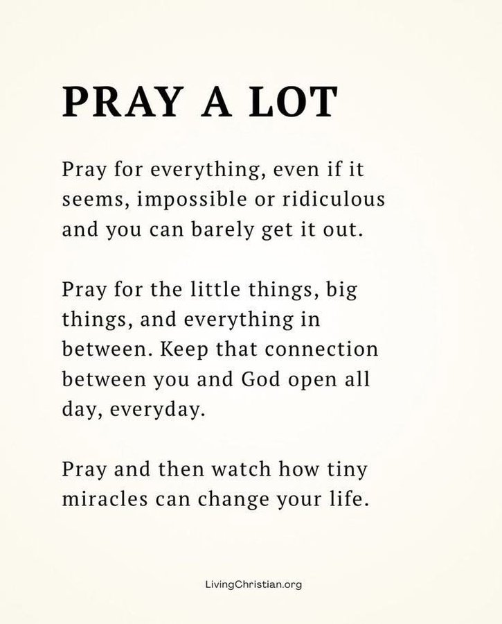 Bible 365 tweet media