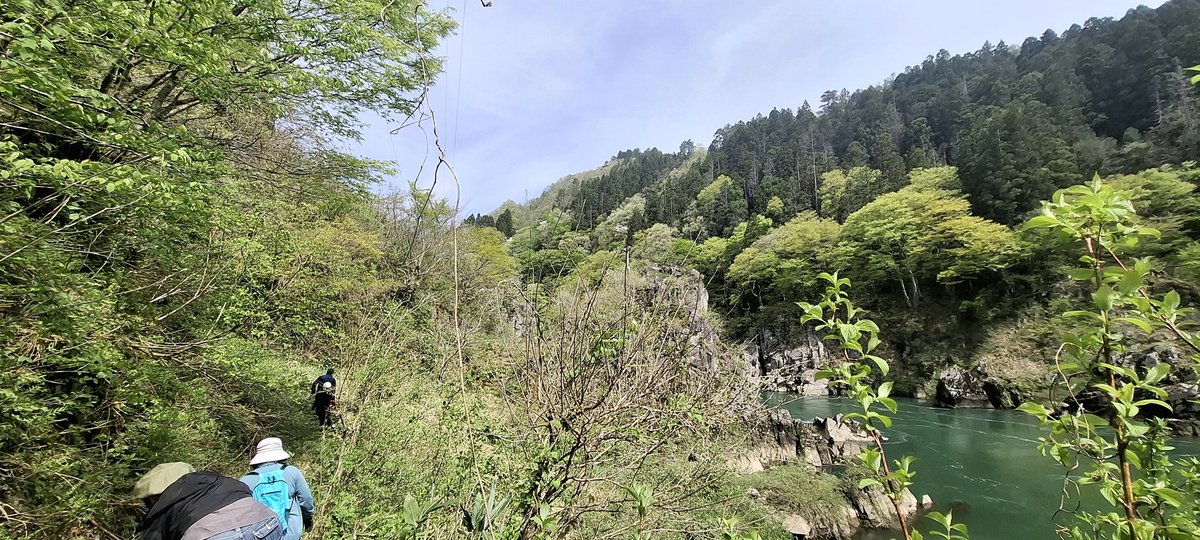 くさおり❀5/5西2 ネ26b tweet media