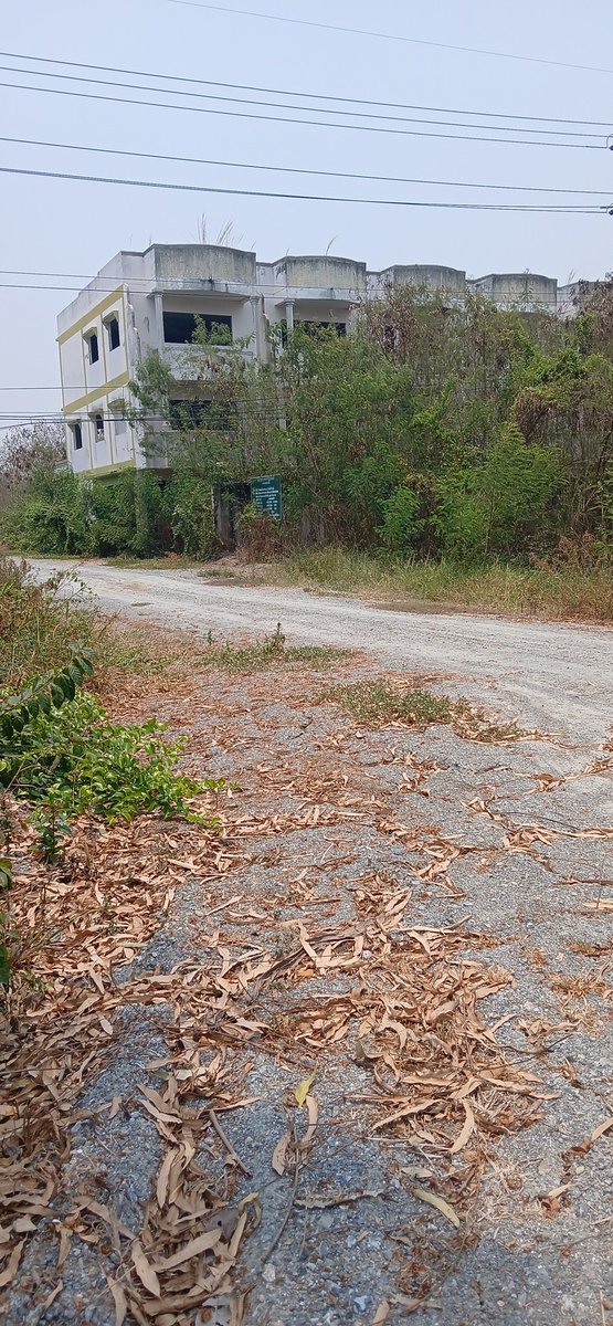 สุพรรณวัยมัน tweet media