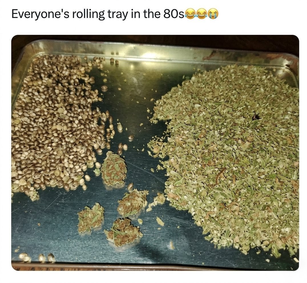 Artek Swaróg🌿💨🇵🇱 tweet media