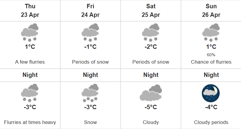 🦋DiYViC🇨🇦 tweet media