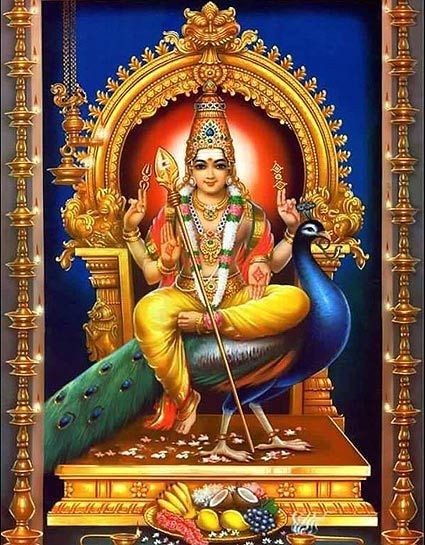 Meera K Iyer ☀️🦚 tweet media