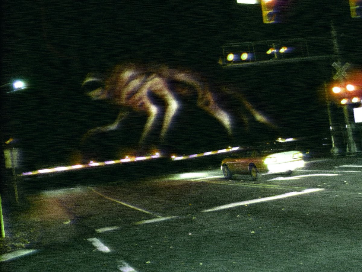 ごだか tweet media