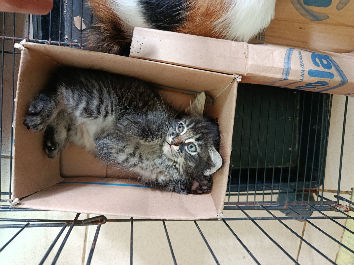 ☀️🌙❄🌸🌼🌻 tweet media