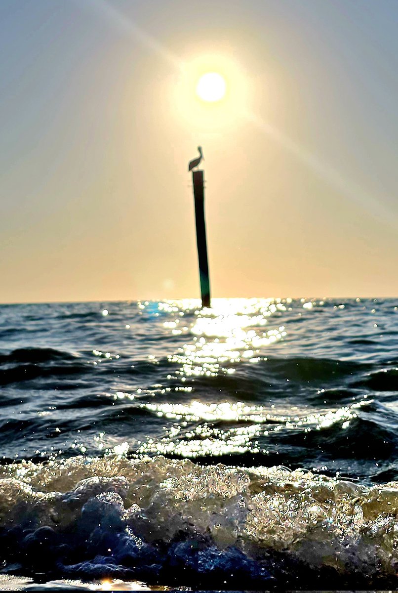 Old and Two tweet media