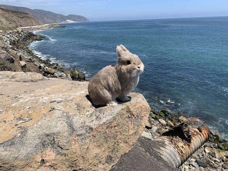 nai ᥫ᭡ || MV1 tweet media