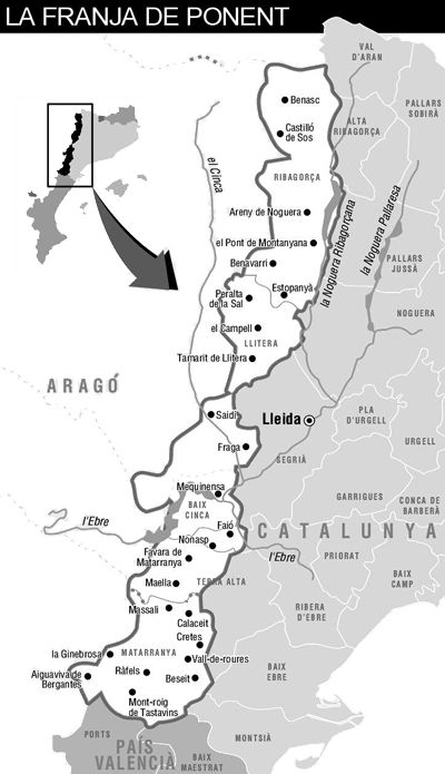 Miquel Manubens tweet media