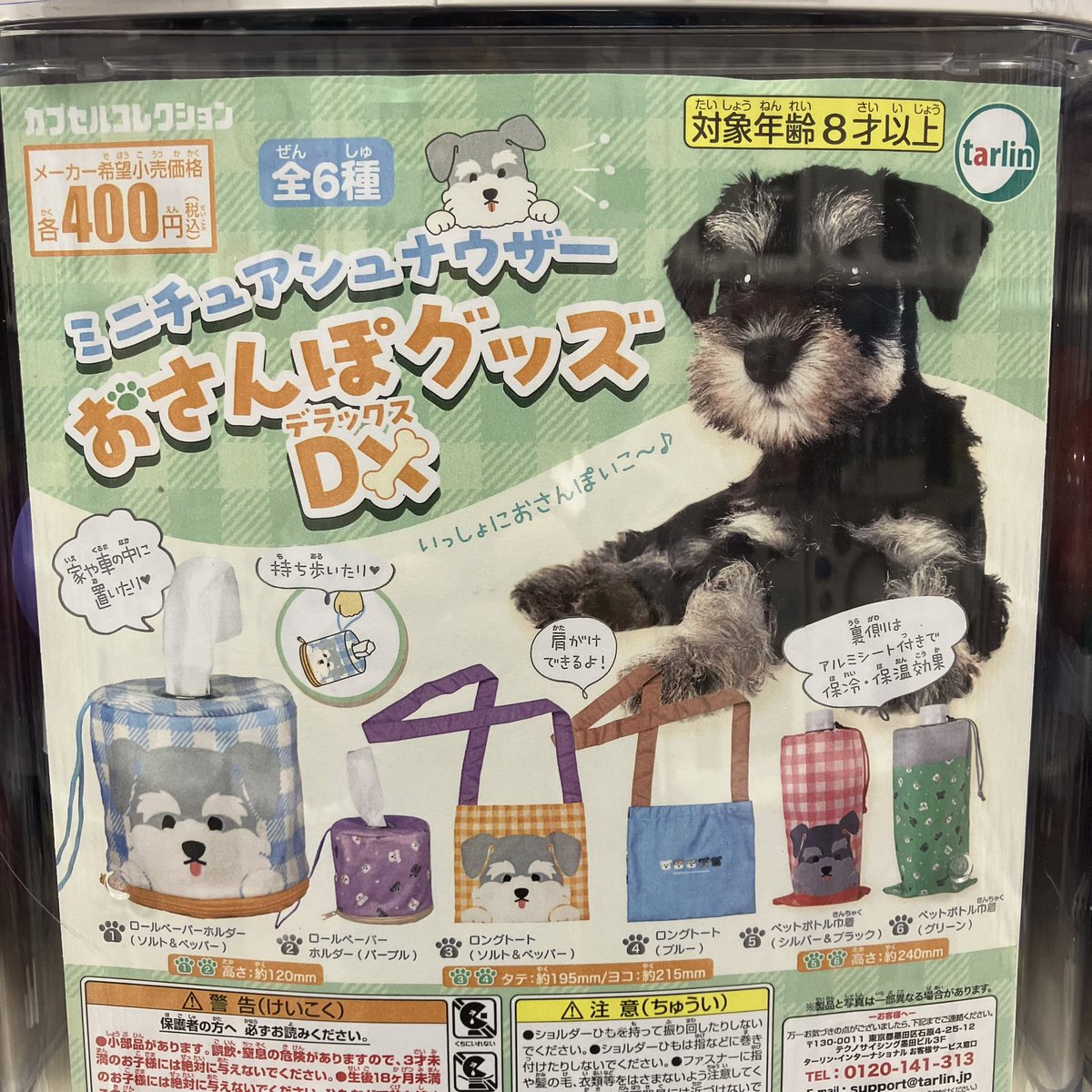 ⭐️入荷のお知らせ⭐️ #タリーン 🛟#ミニチュアシュナウザーおさんぽ
