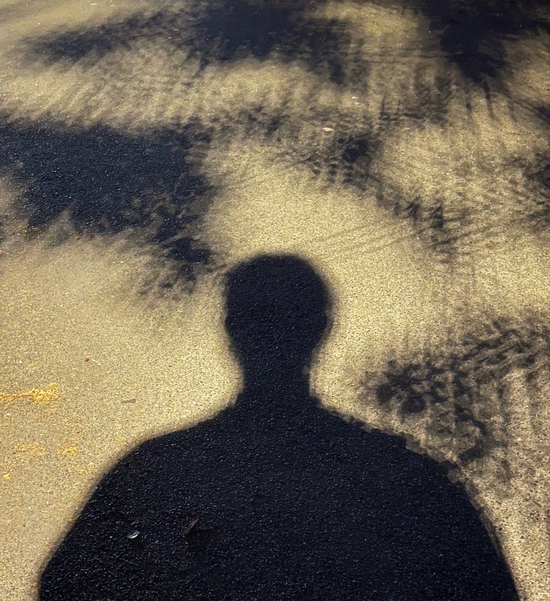 Dr. David Koebel🎗️ tweet media