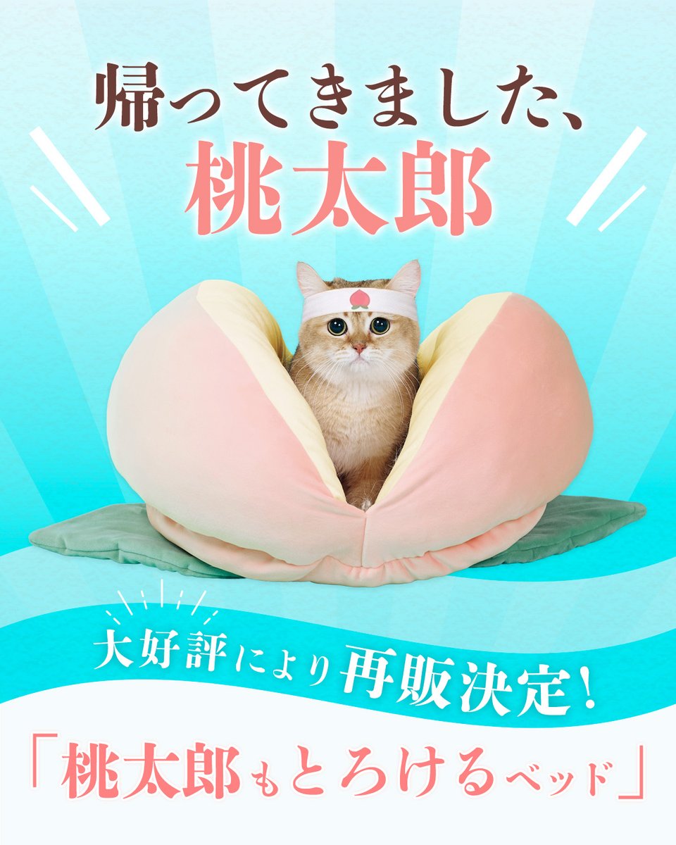 ペット用品通販会社｜PEPPY公式アカウント tweet media