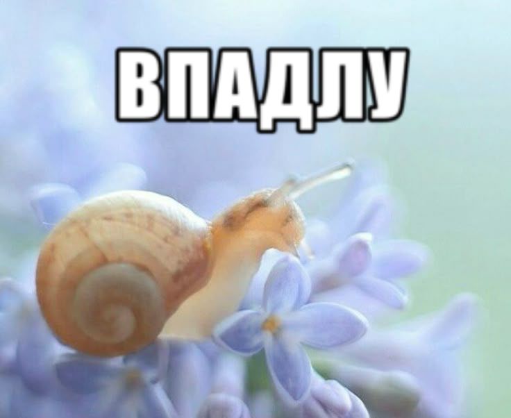 первая картинка в pinterest 📍 покажет вам ваш внутренний вайб, а вторая то, как воспринимаетесь людьми

Йоу