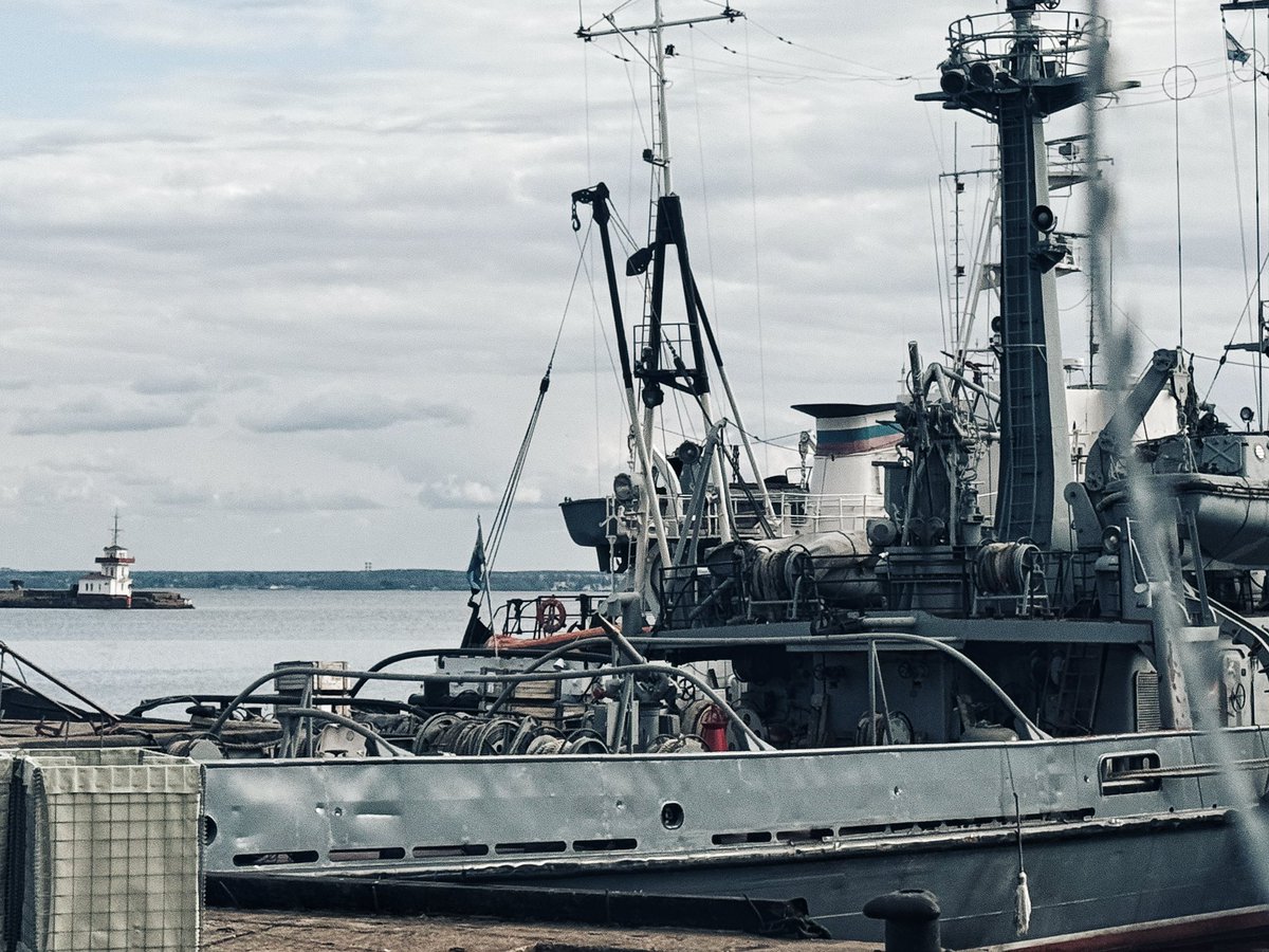 хариус tweet media