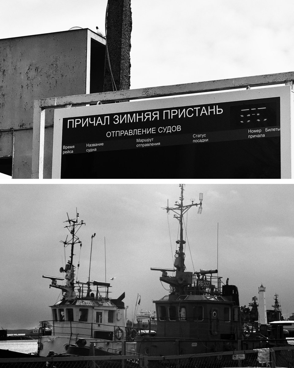 хариус tweet media