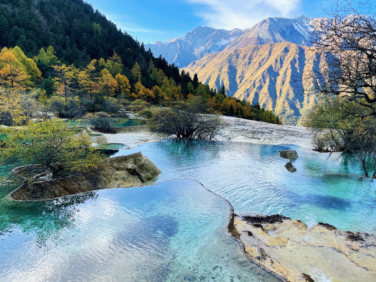 TheJennyLam's tweet image. Happy Earth Day! 🌏 Throwback to October in Huanglong National Park, China, a UNESCO World Heritage Site: instagram.com/p/DXc4MGVE6er #Hiking down the mountain, we passed by countless colorful travertine pools like these!

#NationalParks #Valley #Forest #MobilePhotography #Photo