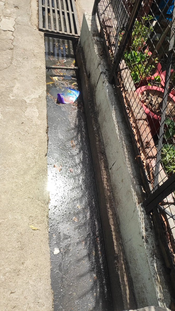 V S S ( Jai Shree Ram) tweet media