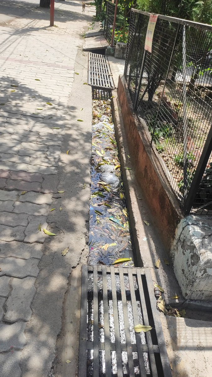 V S S ( Jai Shree Ram) tweet media