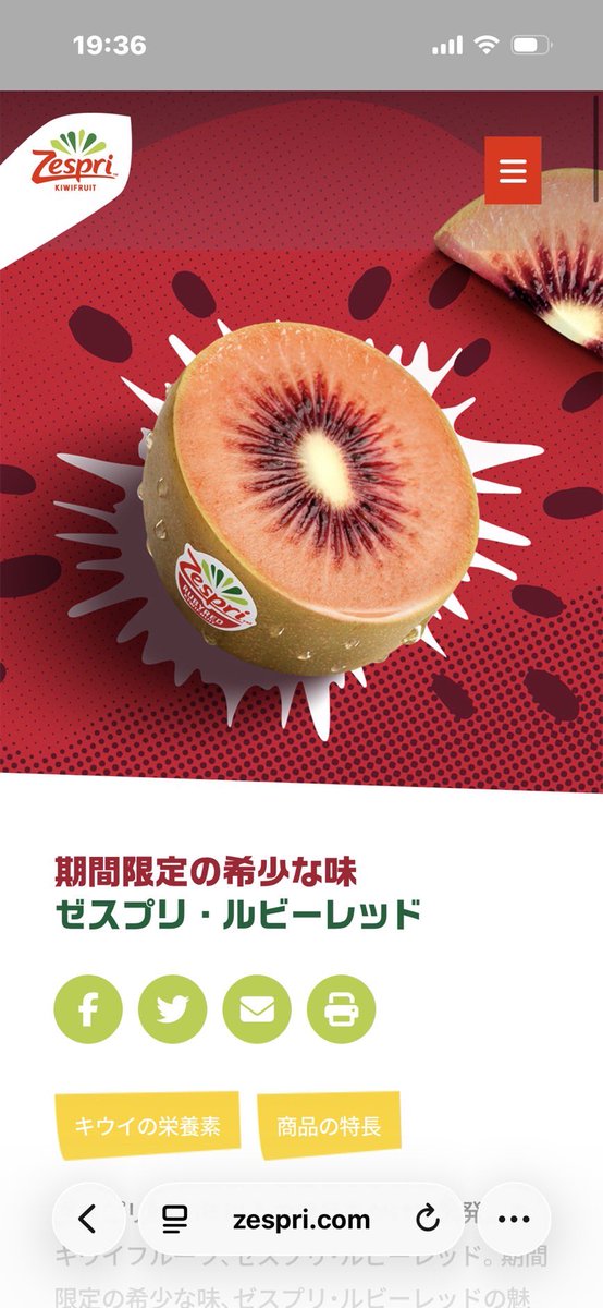 ハルキ【北の打ち師達/ハルキの古着】 tweet media