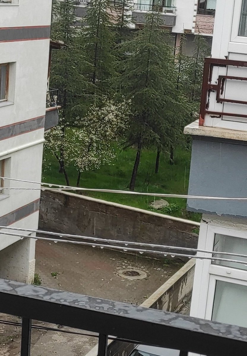 Atamam27🇹🇷 ZEYNA🤍 tweet media