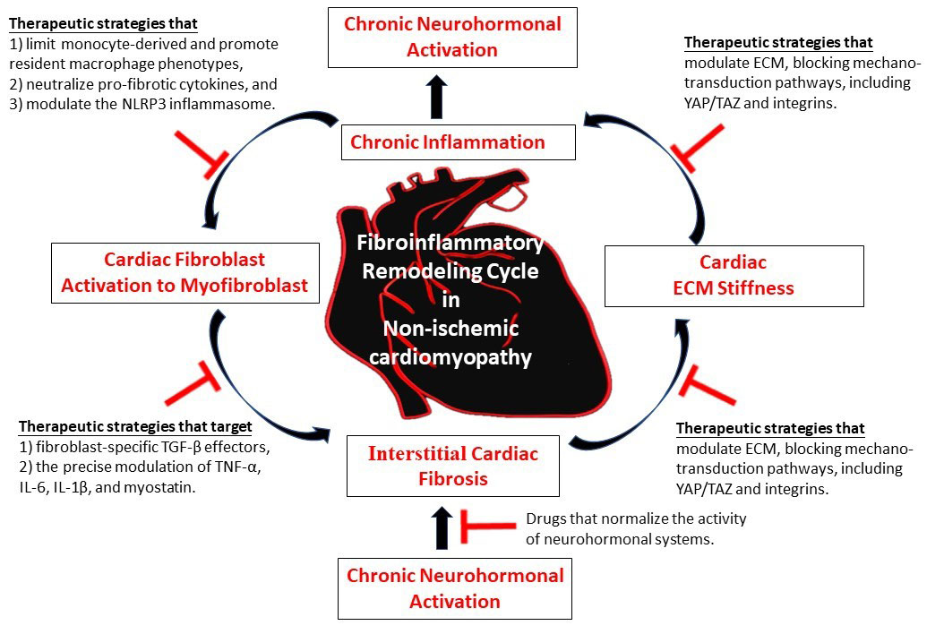 Reviews in Cardiovascular Medicine tweet media