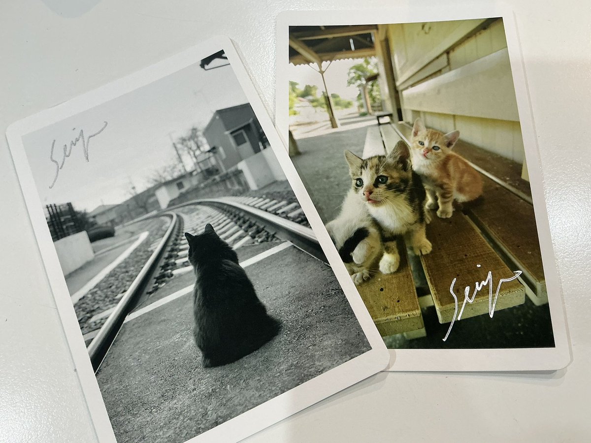 鉄道写真家　中井精也 tweet media