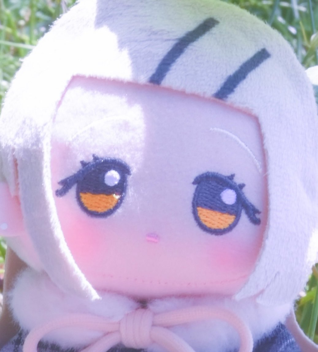 大葉しそ(ぬい活) tweet media