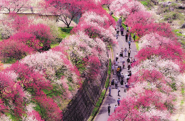 小林弥 tweet media