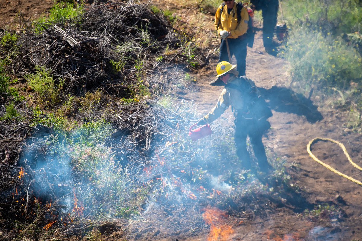 LACoFD tweet media