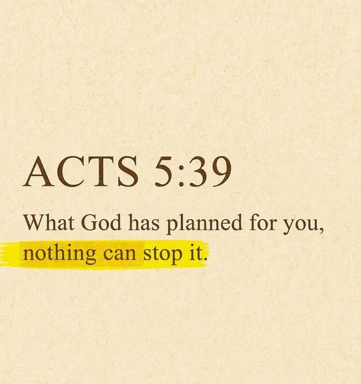 Bible 365 tweet media