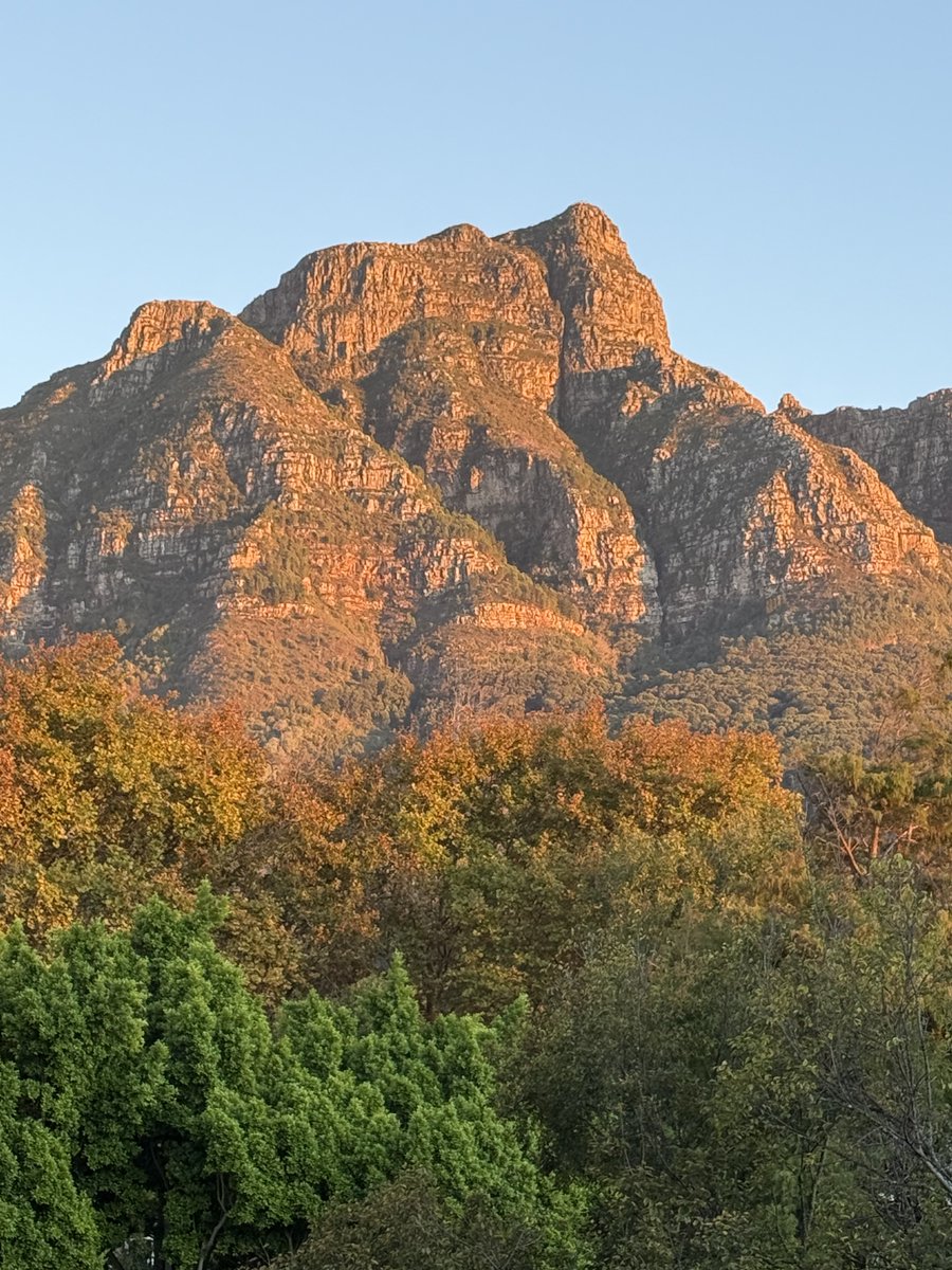 JudeStevens's tweet image. Good morning from the tip of Africa 😊 🌅 07:14 and the promise of a sunny day 22°c. Perfect 🤩 #sunrise #nature