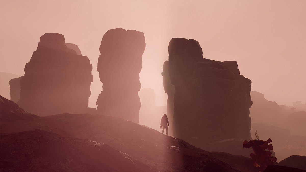 Jay Dook tweet media