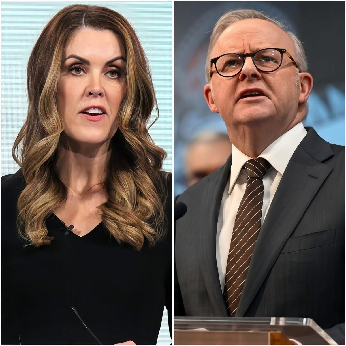 Rosita Díaz tweet media