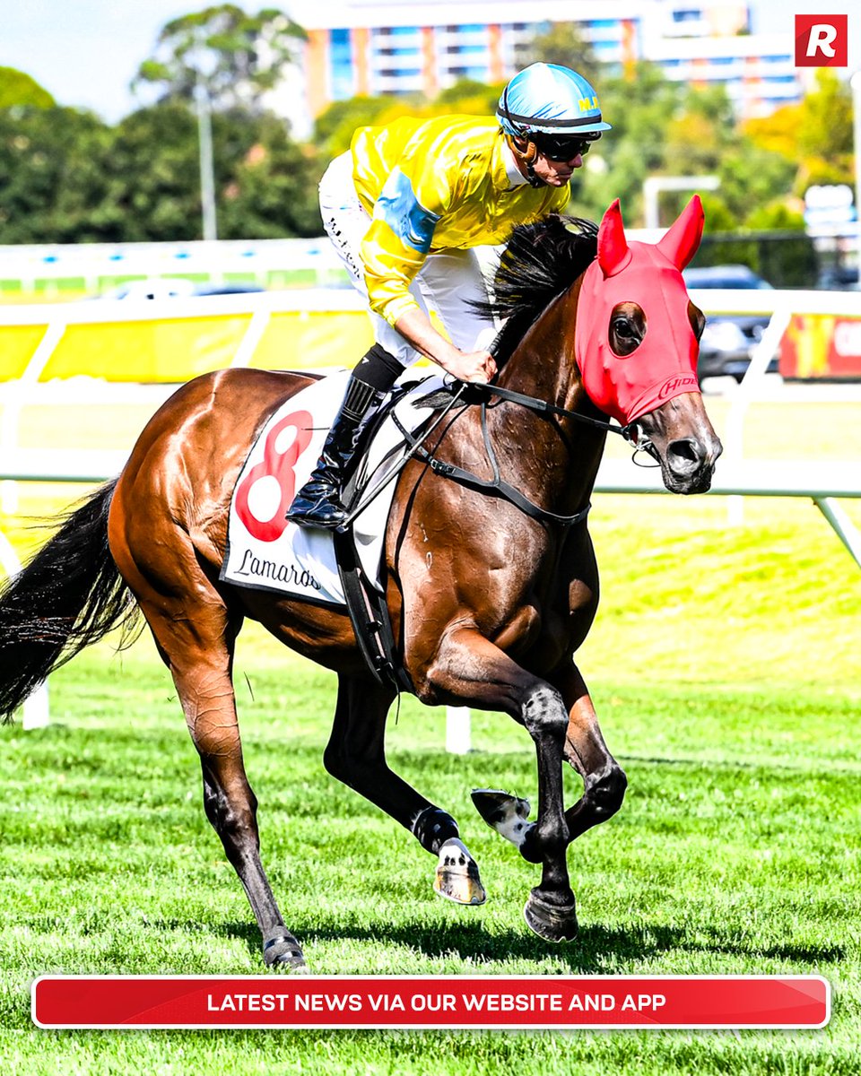 Racing.com tweet media