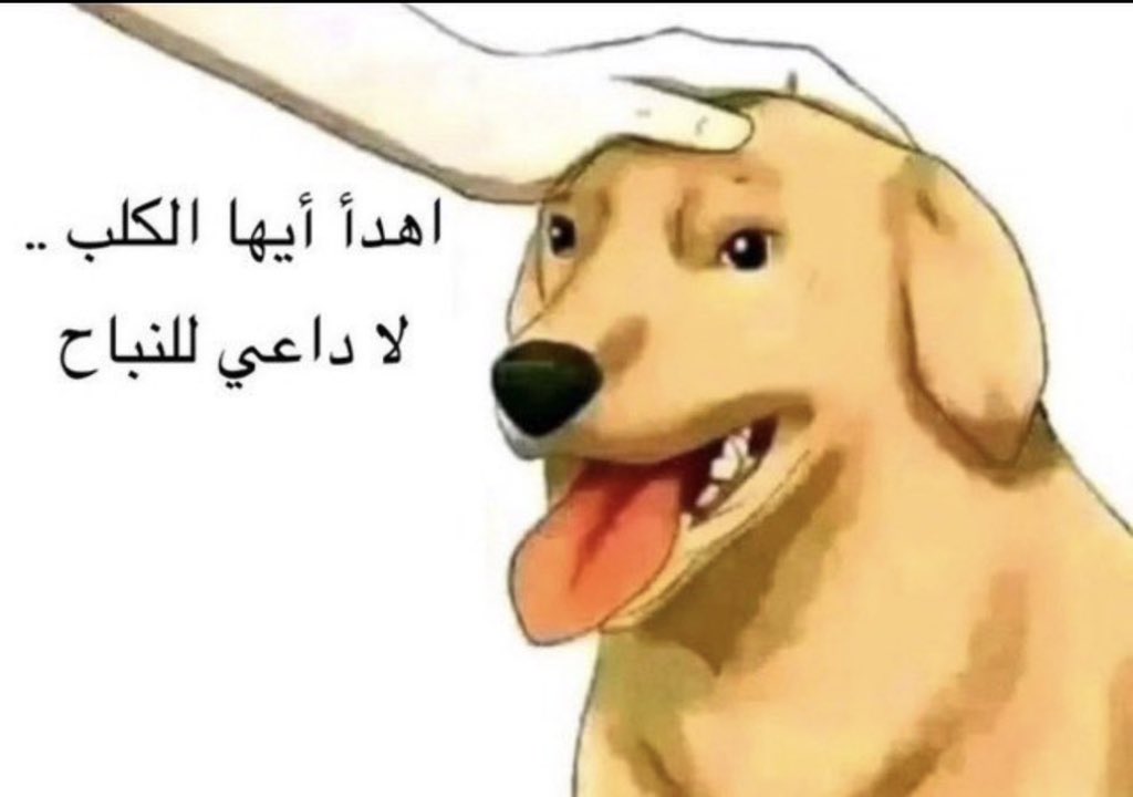 علي بن عبدالله tweet media