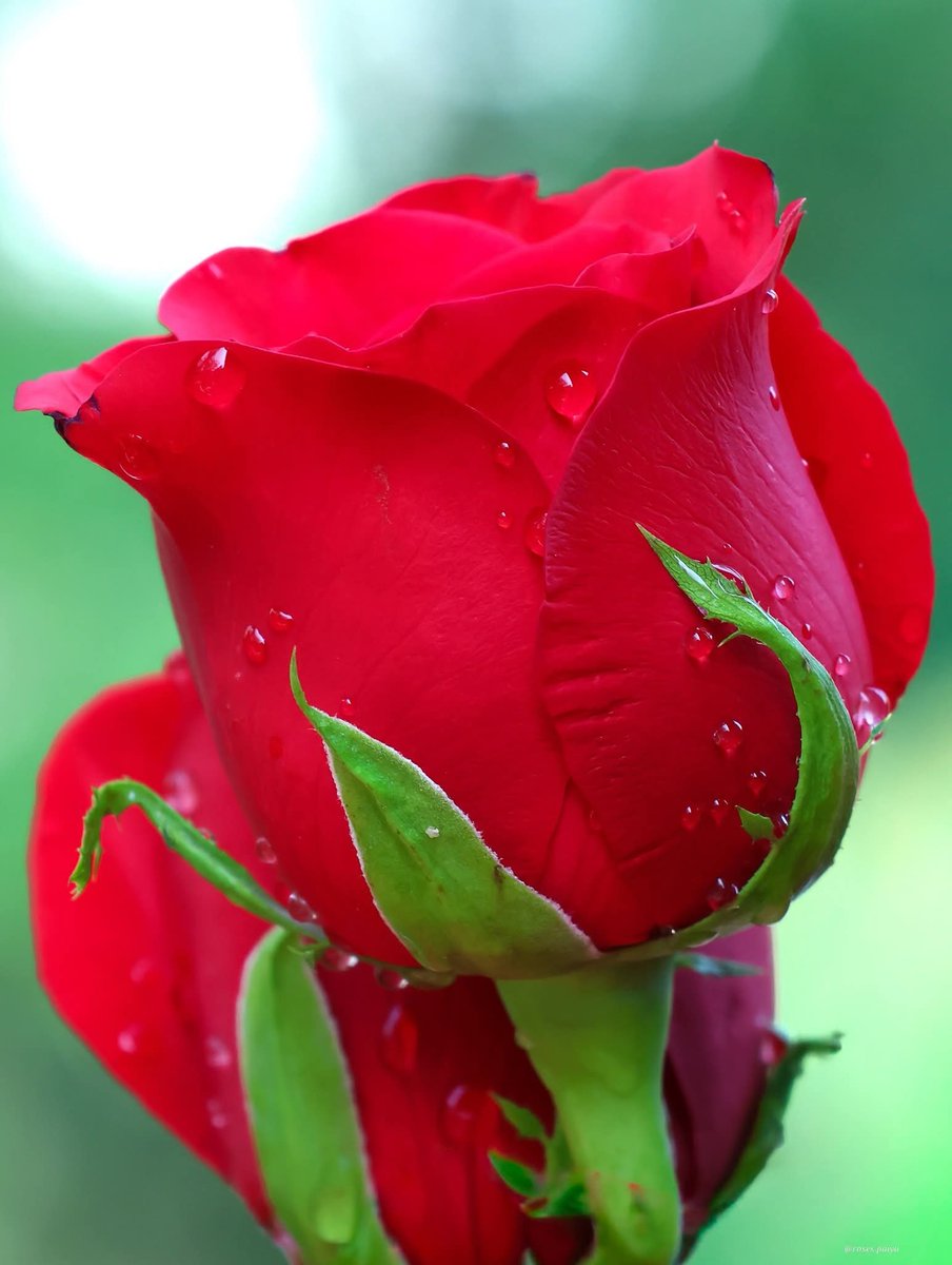 AjitSinghVirk (@ajitvirk) on Twitter photo 