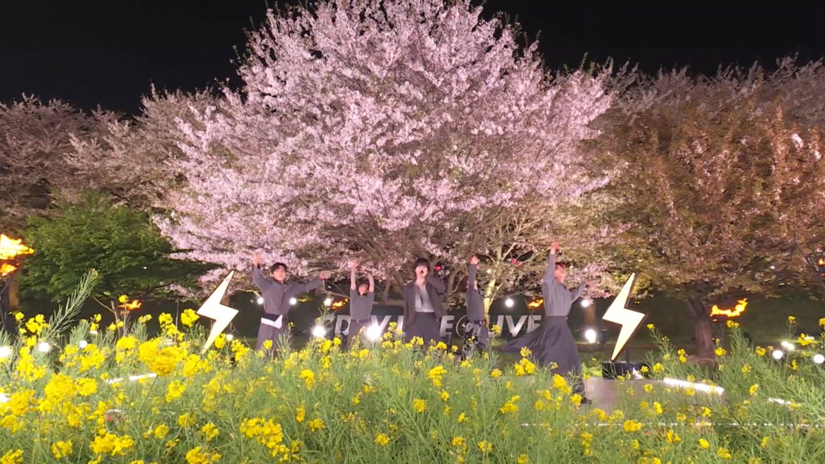 STARGLOW tweet media