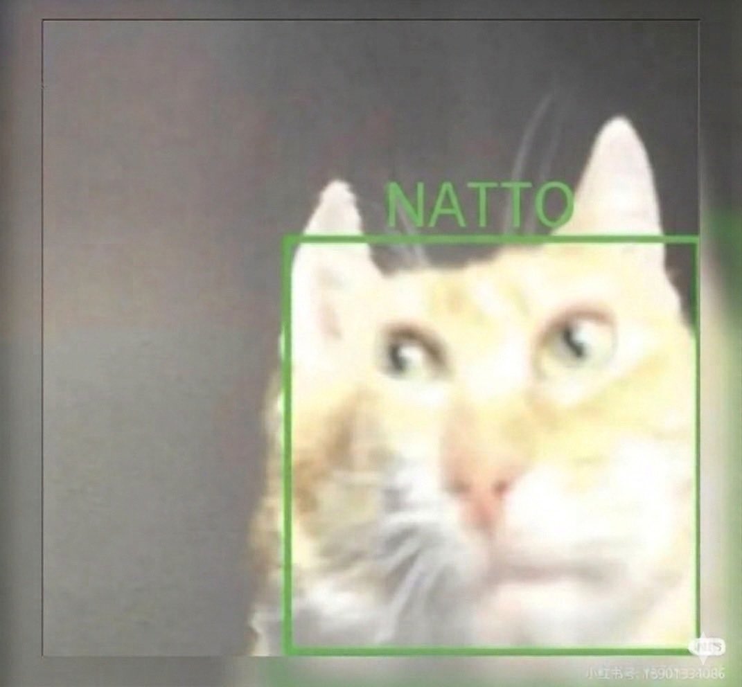 Oiocha 🔰 tweet media