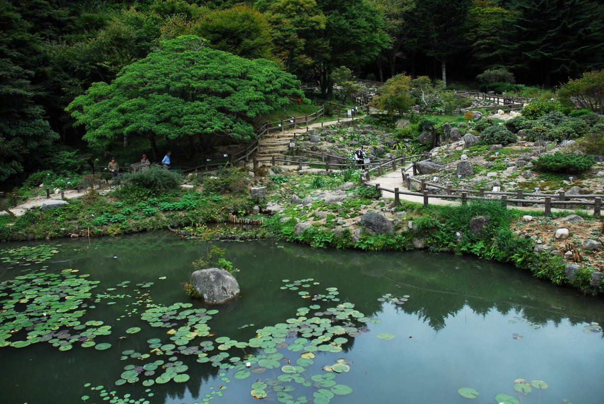 33miura's tweet image. BW
 
無性にモノクロ・フィルムで撮影したい！
 
六甲山高山植物園
 
#CAMERA
#Leica
#Nikon
#Bronica
#Kodak
#FujiFilm