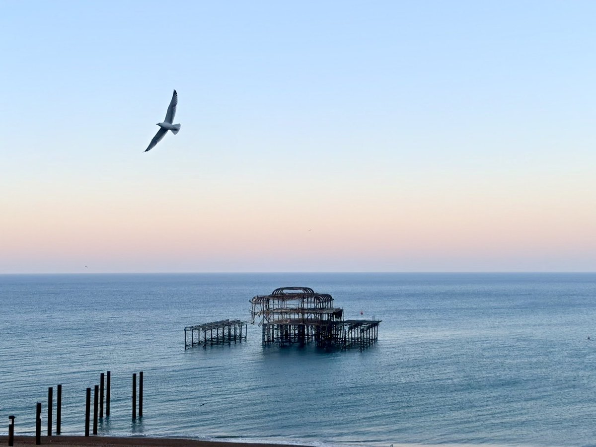 Steveontour2's tweet image. A great start to the day in #Brighton @ThePhotoHour @StormHour #UsualSeagull