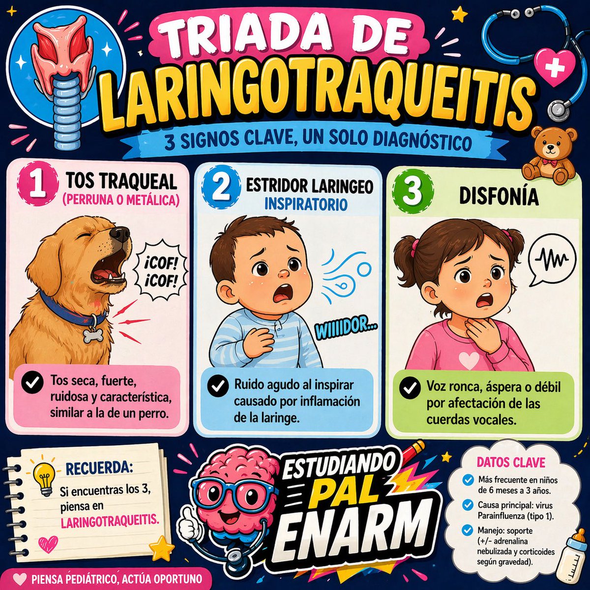 AlejandroCeGa's tweet photo. Laringotraqueitis

#ENARM #ENARM2026 https://t.co/BuS5BXWBB3