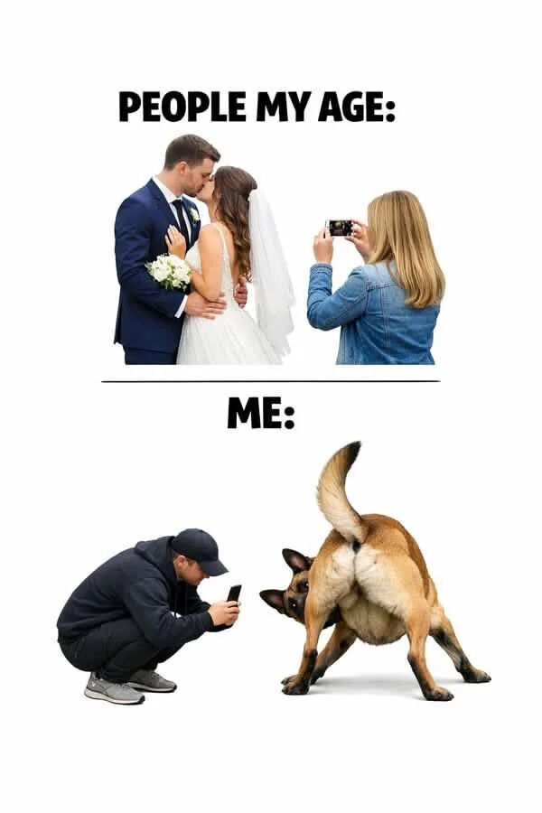 WholesomeMemes tweet media
