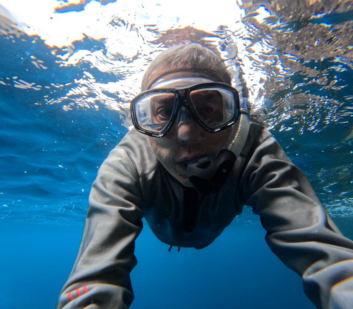 drkeyurparikh's tweet photo. Snorkeling along the equator in the Galápagos Islands 🌊
Daily trekking and swimming continue.
Health doesn’t pause during travel — it improves with movement.
Walk. Swim. Stay active. Prevention matters.

#GalapagosIslands #ecuadorbyvianatura #galapagosbyvianatura #drkeyurparikh https://t.co/yvBUDM0lGw