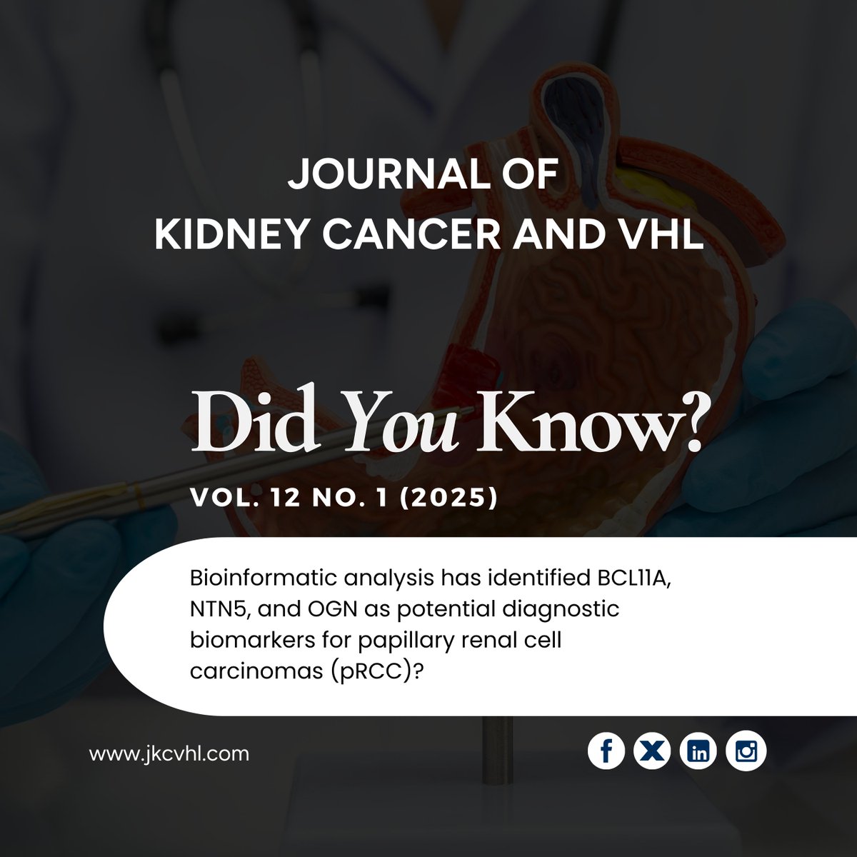 Jokcov's tweet photo. Bioinformatics reveals BCL11A, NTN5 &amp; OGN as promising biomarkers for pRCC—offering potential for earlier detection and more personalized treatment strategies.
 https://t.co/fXOsM4Fbmj

#KidneyCancer #OncologyResearch https://t.co/BZGtxqgNM0