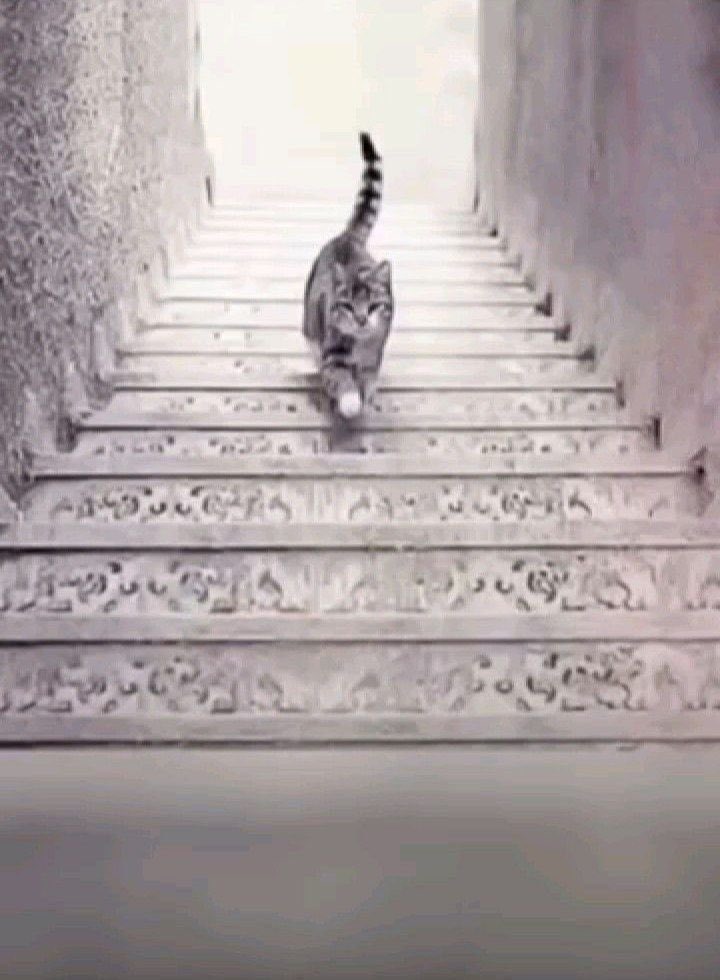 𝐒𝐮𝐧𝐧𝐲 🩶 tweet media