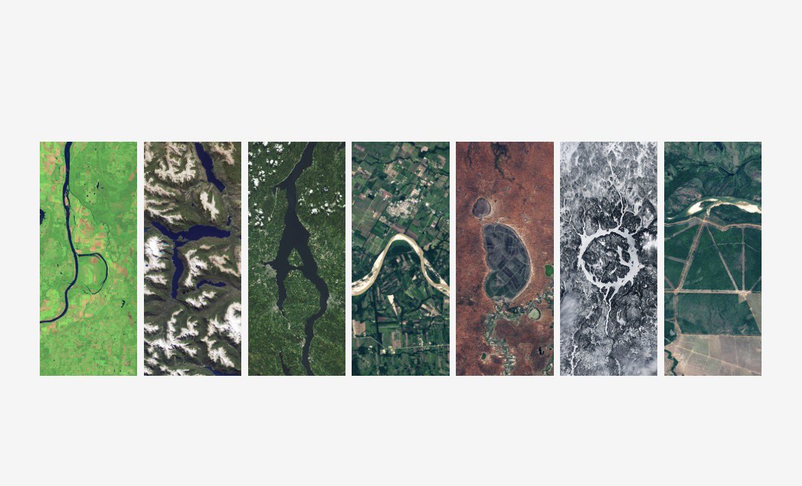 𝐁𝐚𝐝 𝐁𝐫𝐚𝐧𝐝𝐨𝐧 tweet media