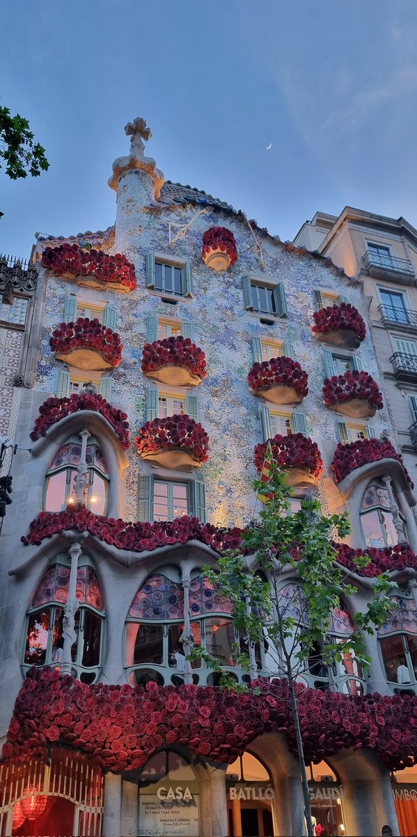 Miss_Grape_'s tweet photo. La ciudad se pone guapa y lectora. 

📖🌹Feliz Sant Jordi 🌹📖 https://t.co/UtT0y7305A