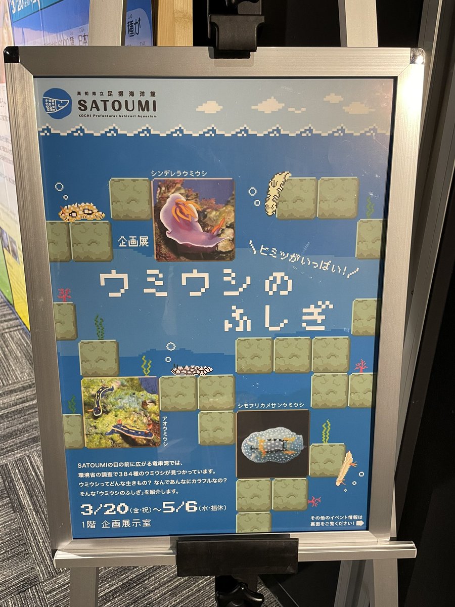 なうしか tweet media