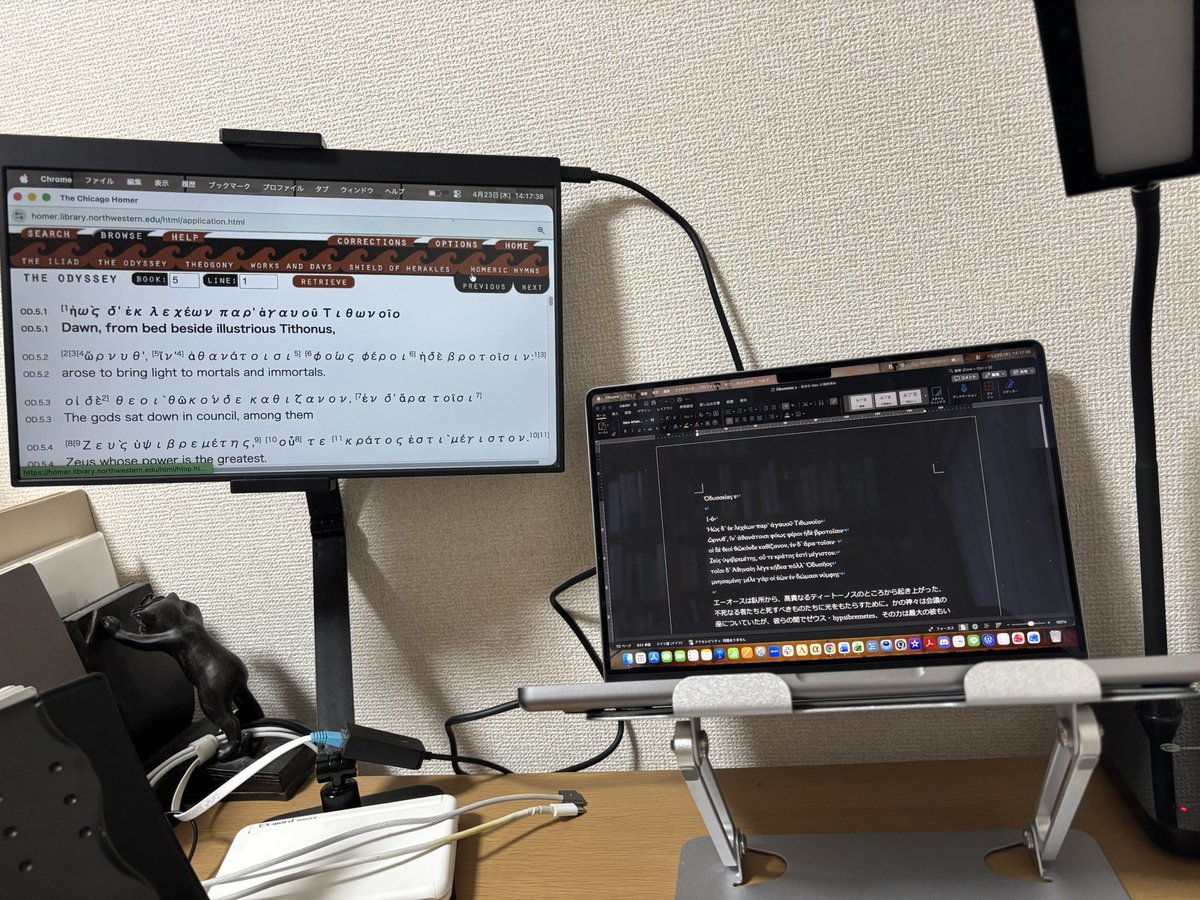 妹尾優暉｜Yuki SENOO tweet media