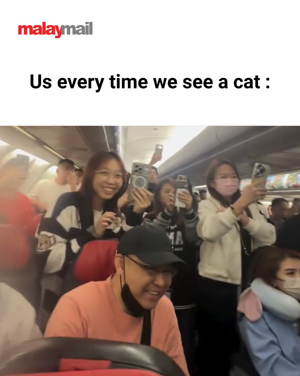 Malay Mail tweet media