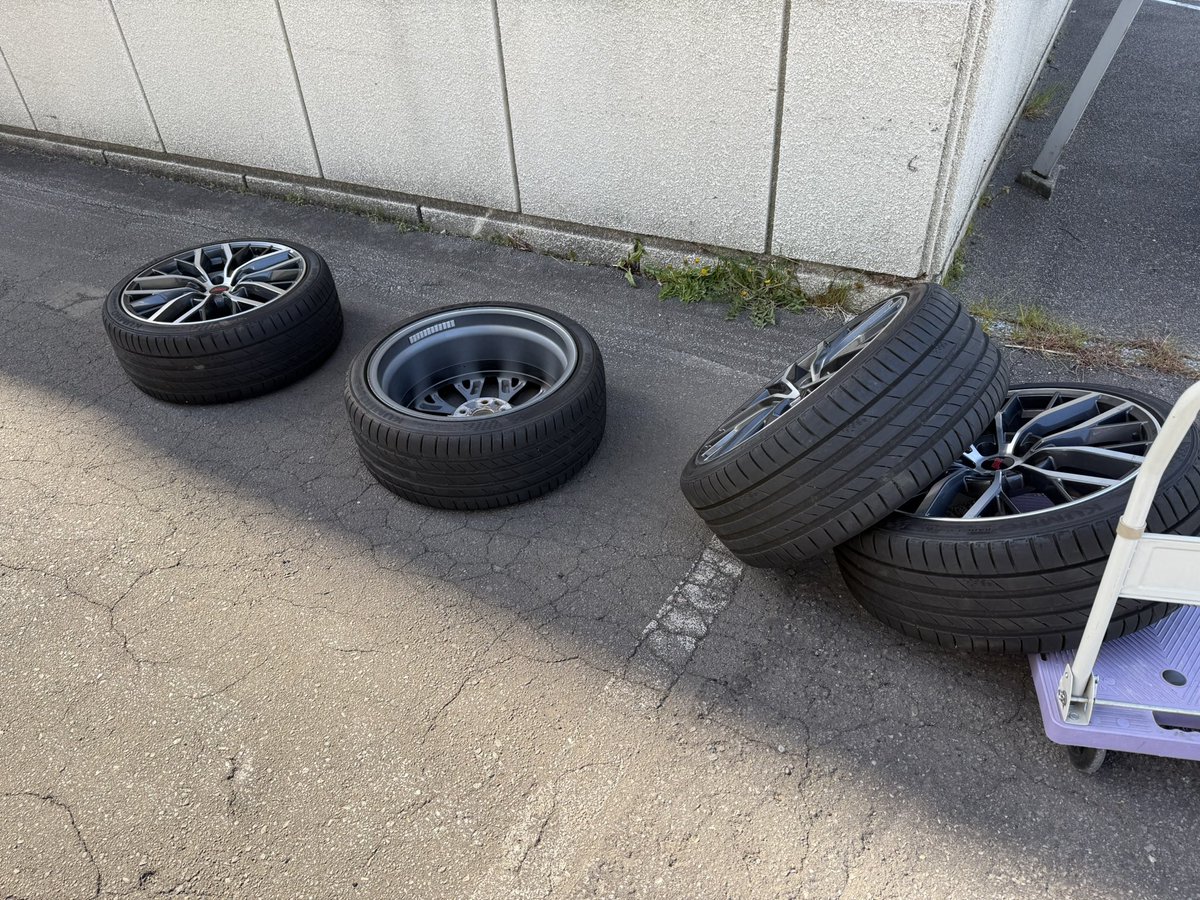 シビ tweet media